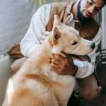 Pets Best Pet Insurance