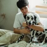 Pets Best Pet Insurance